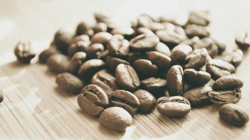 禁漫天堂下载2026最新版发布